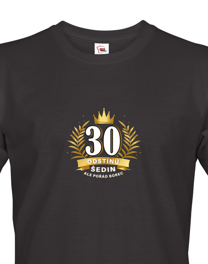 Pánské tričko k 30. narozeninám 30 odstínů šedin