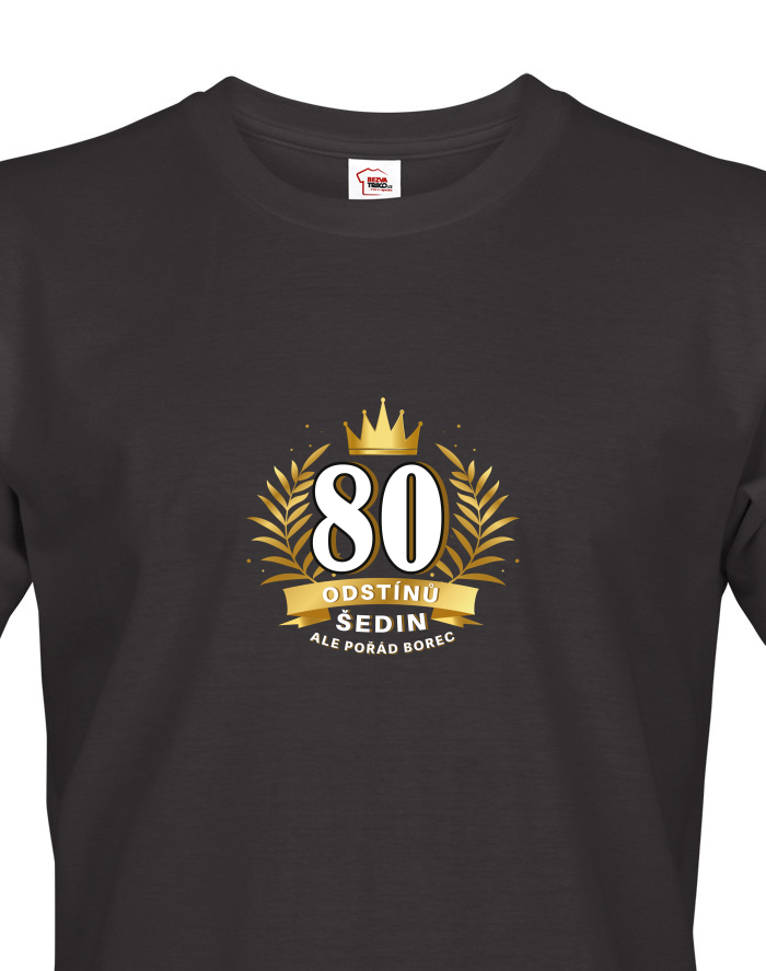 Pánské tričko k 80. narozeninám 80 odstínů šedin