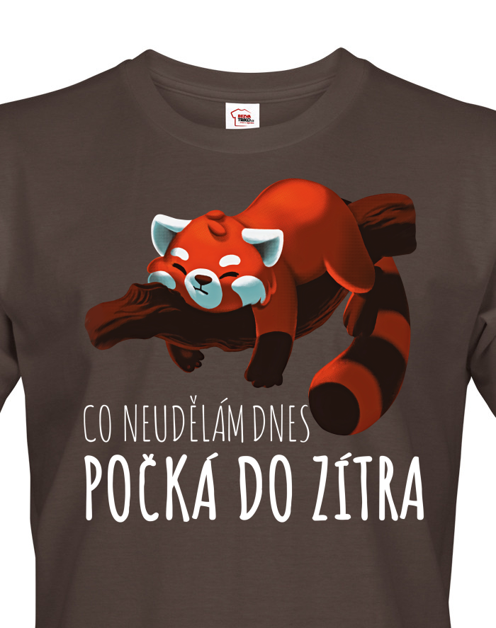 Pánské tričko Co neudělám dnes